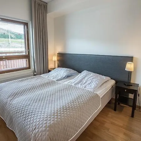 Nature 6206 - 2 Hissilippua Sisaeltyy Hintaan Talvikaudella * Ylläs